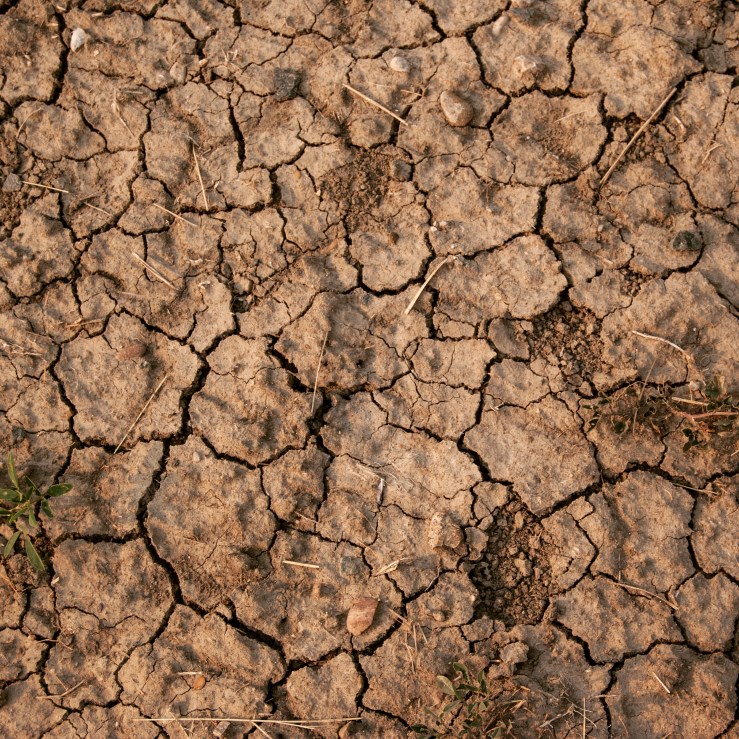 This is what drought looks like.