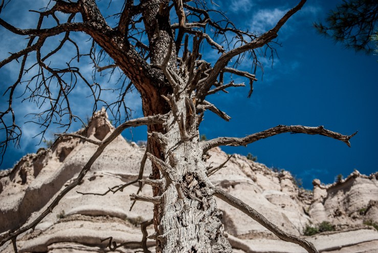 Starting to climb higher.