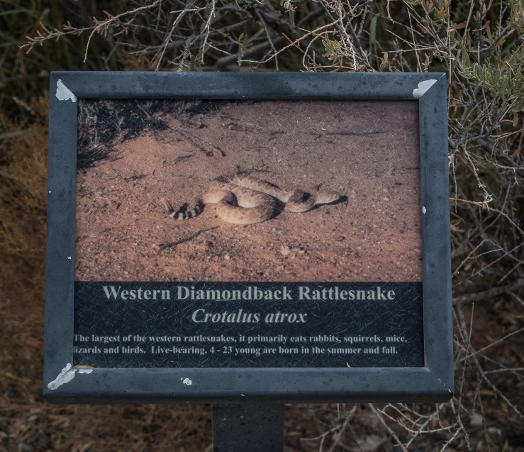 Boca Negra Canyon 91 (1 of 1)