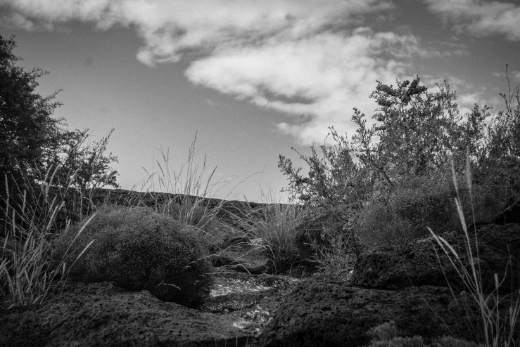 Boca Negra Canyon 97 (1 of 1)