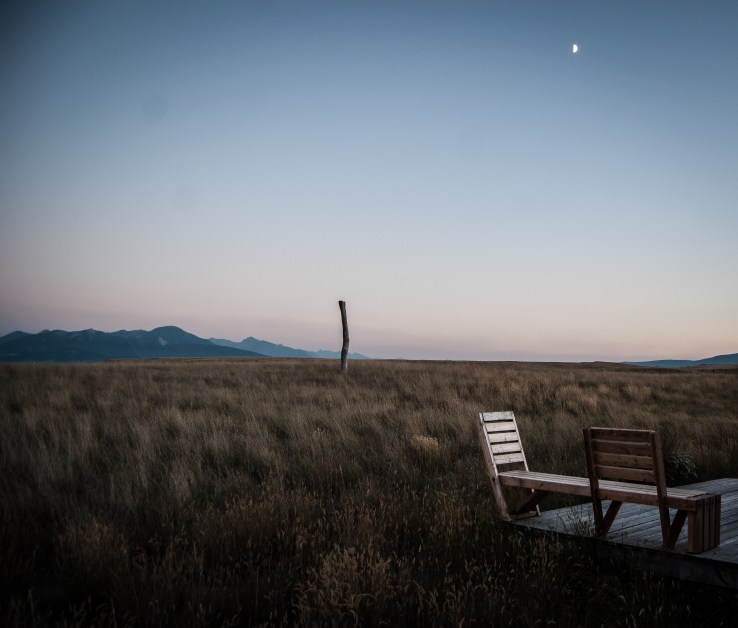 Livingston 46 (1 of 1)