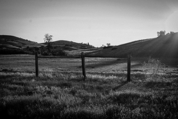 Prairie Dog Park 52 (1 of 1)