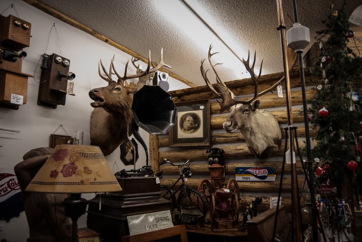 Red Lodge 56 (1 of 1)