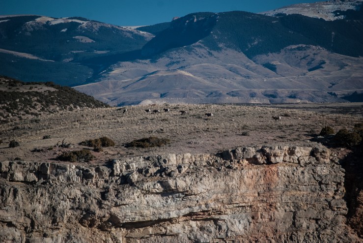 Bighorn Canyon WY 19 (1 of 1)