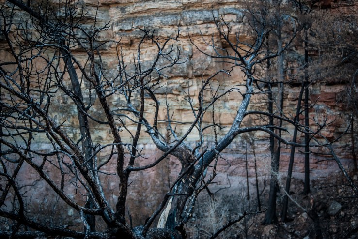 Bighorn Canyon WY 26 (1 of 1)