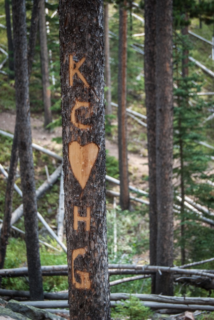 Memorial Falls 14 (1 of 1)