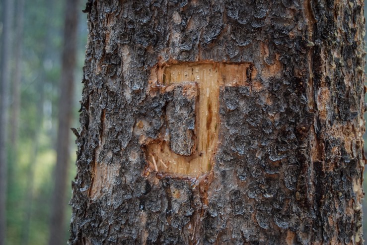 Memorial Falls 15 (1 of 1)