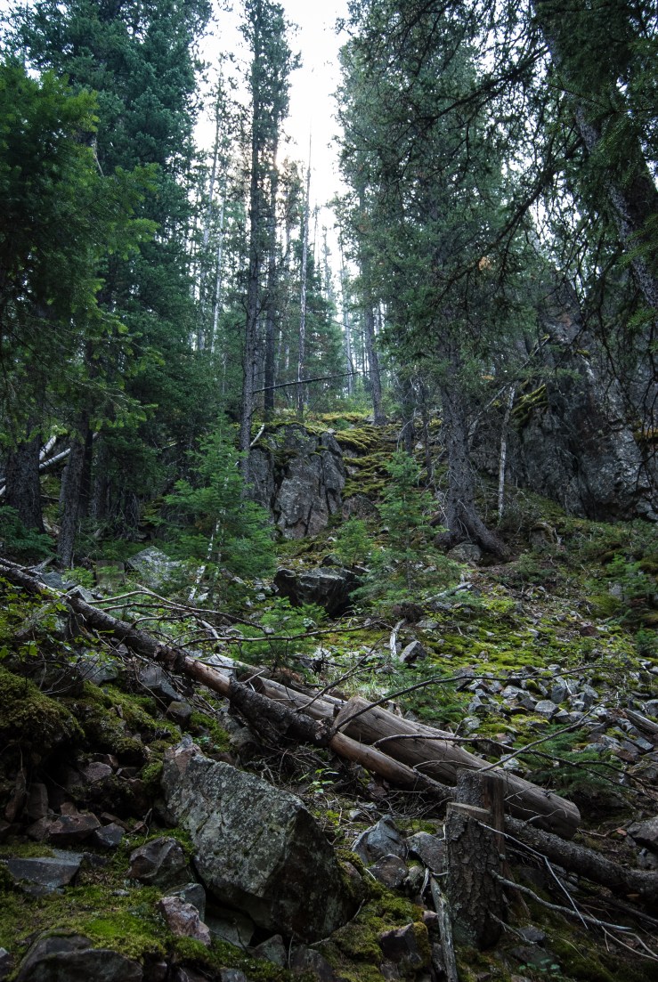 Memorial Falls 17 (1 of 1)