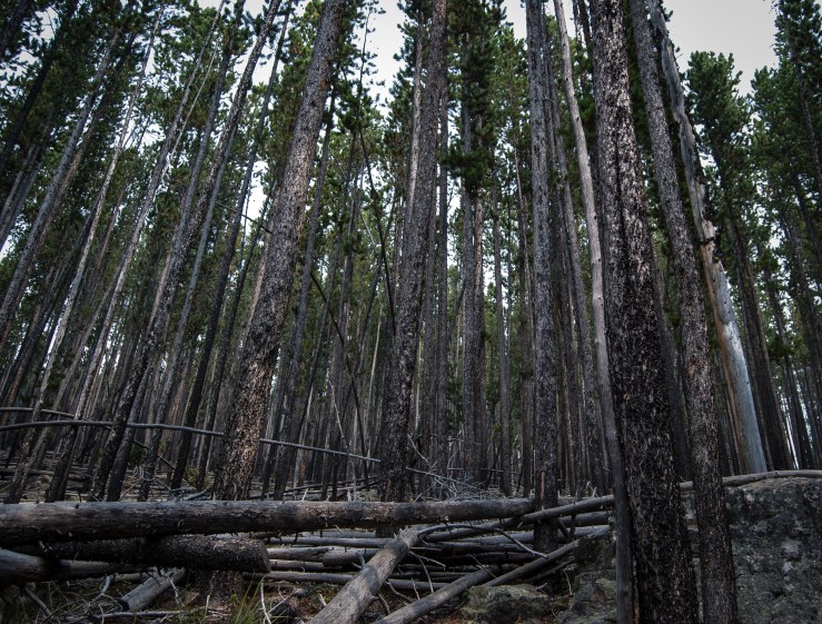 Memorial Falls 3 (1 of 1)