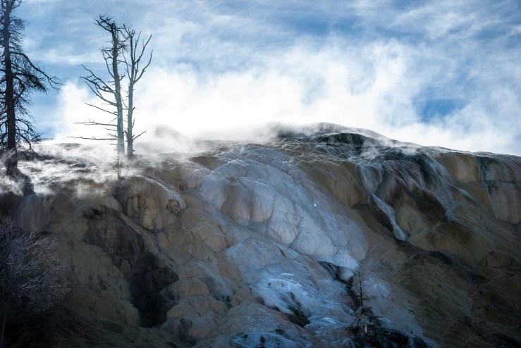 Yellowstone 10 (1 of 1)