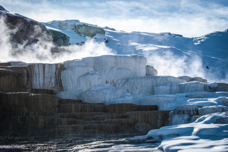 Yellowstone 30 (1 of 1)