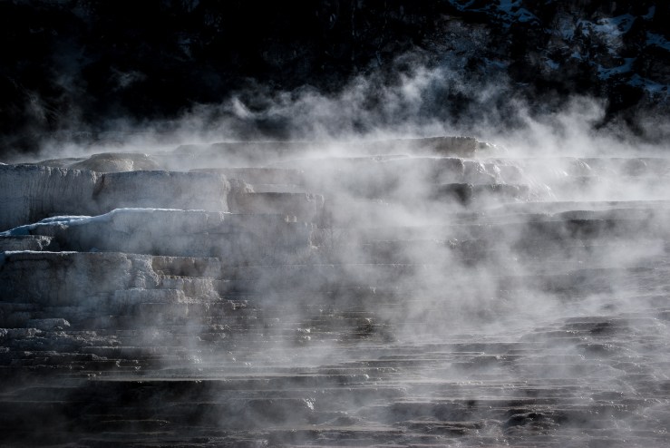 Yellowstone 34 (1 of 1)