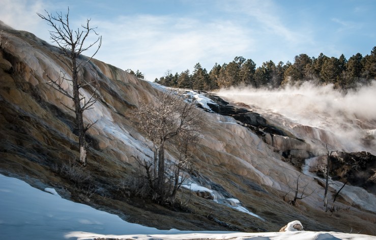 Mammoth Hot Springs