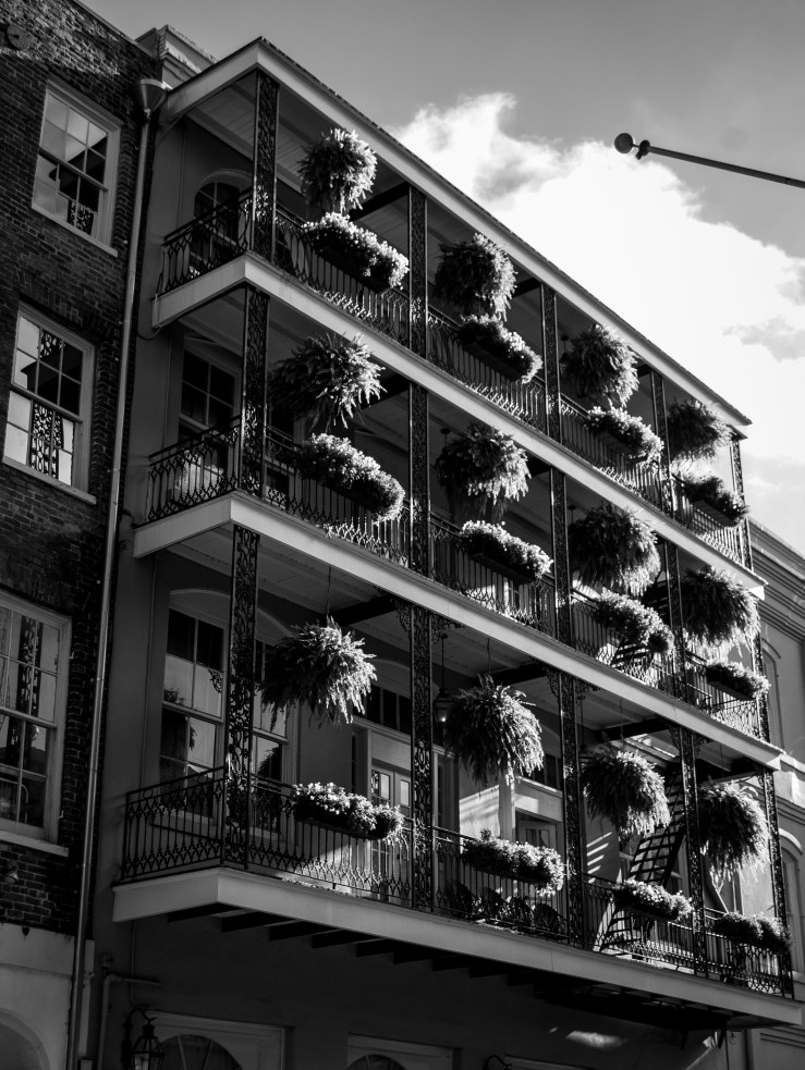 French Quarter 21 (1 of 1)