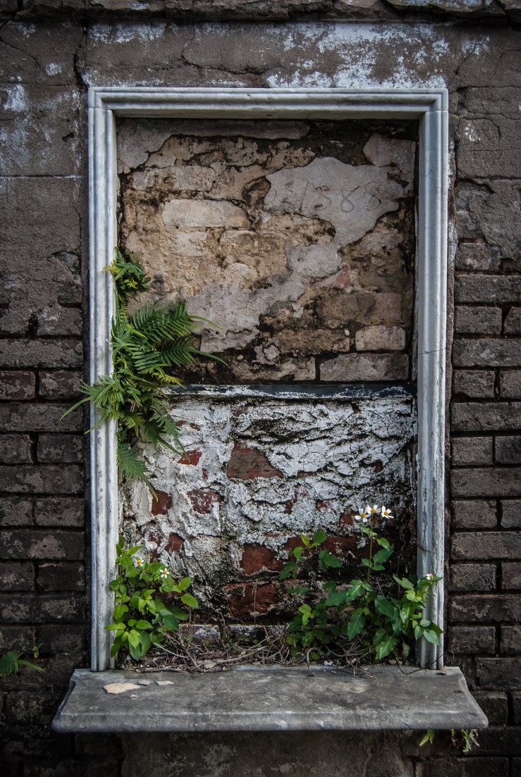 Lafayette Cemetery 19 (1 of 1)