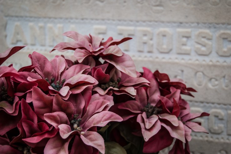 Lafayette Cemetery 22 (1 of 1)