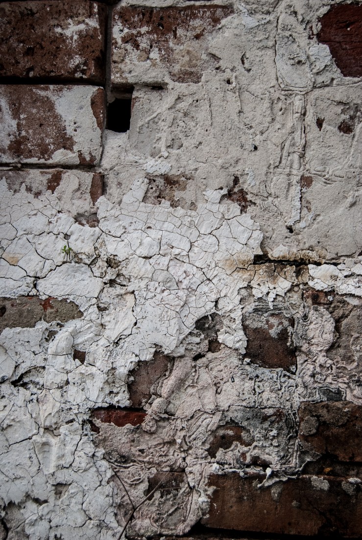 Lafayette Cemetery 31 (1 of 1)