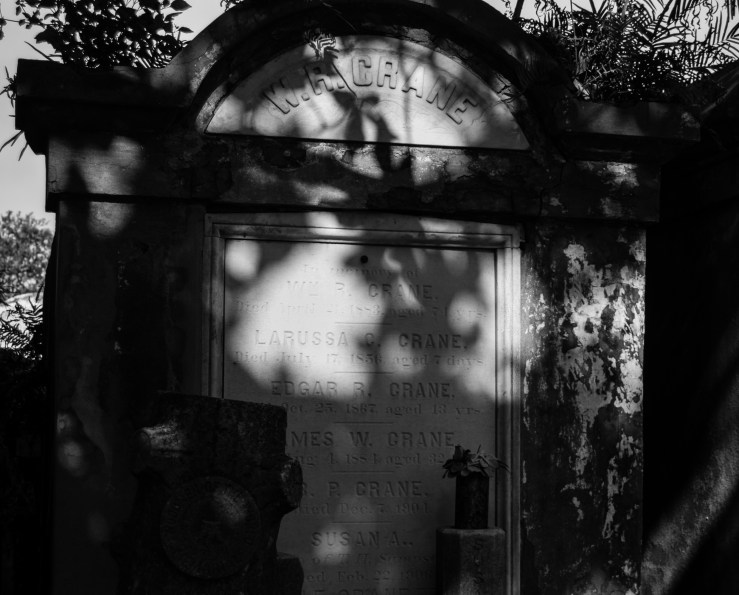 Lafayette Cemetery 33 (1 of 1)