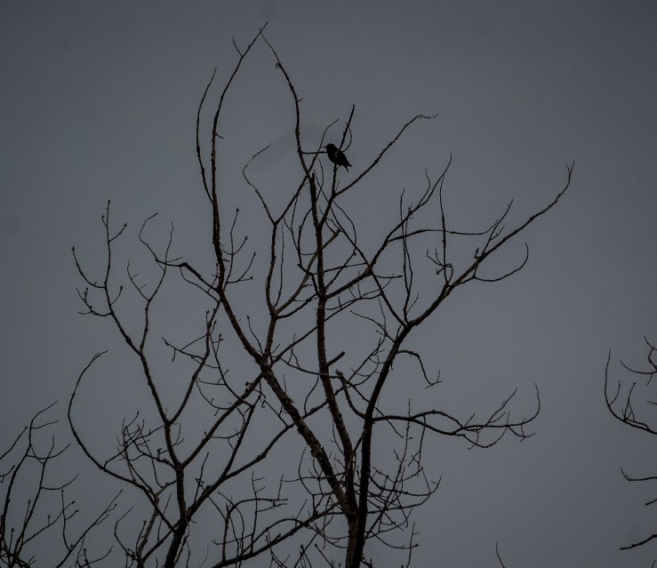 Aztec Ruins National Monument 10 (1 of 1)