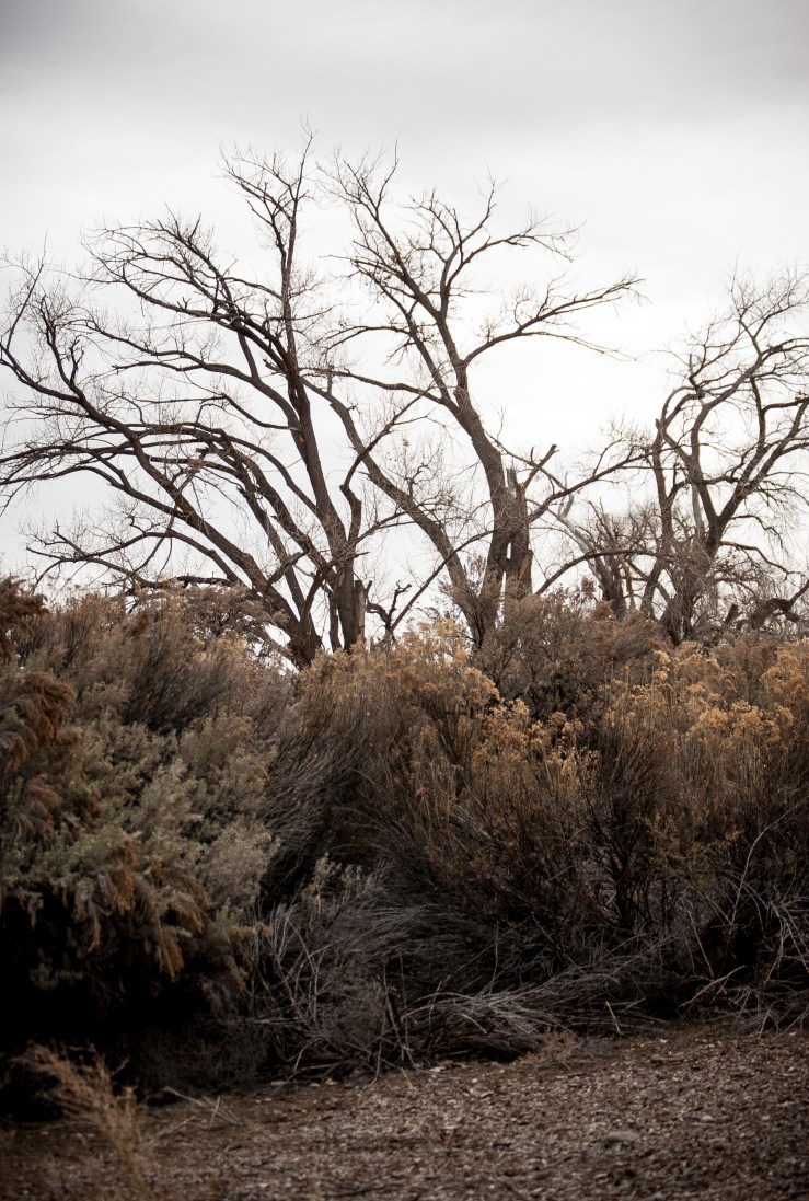 Aztec Ruins National Monument 11 (1 of 1)