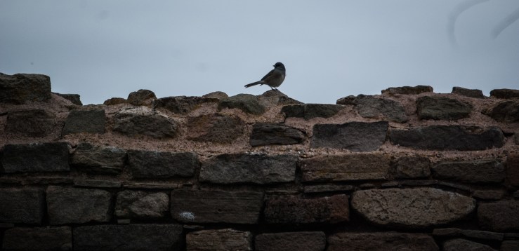 AZTEC Ruins 10 (1 of 1)