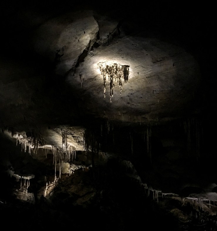 Carlsbad Caverns 1 (1 of 1)