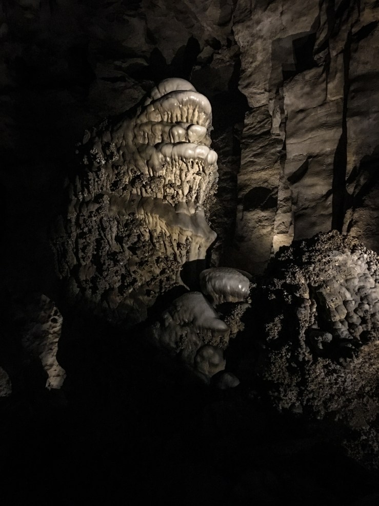 Carlsbad Caverns 8 (1 of 1)