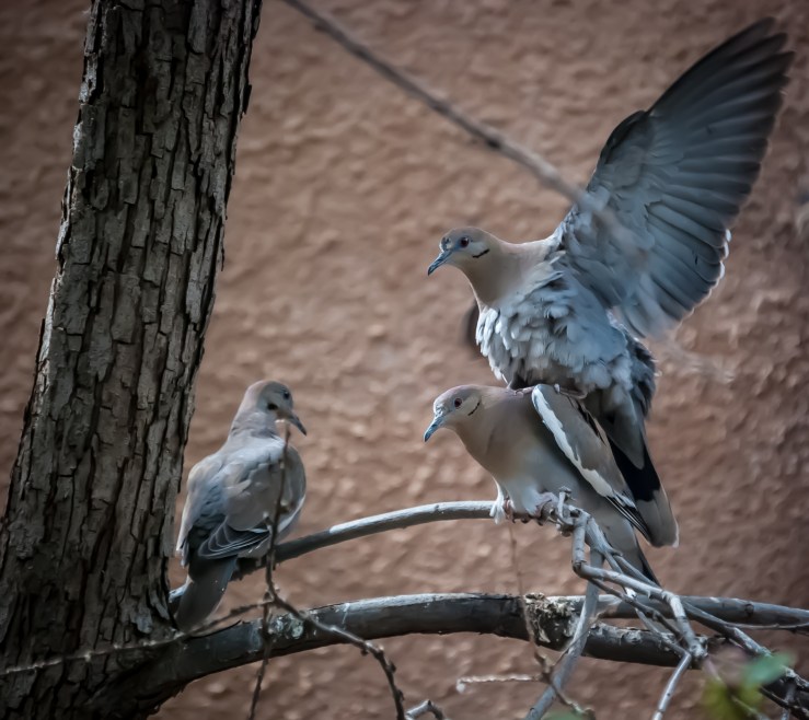 I got your back, bro!