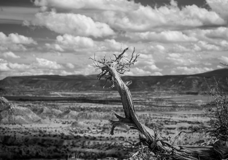 Chimney Rock 33 (1 of 1)