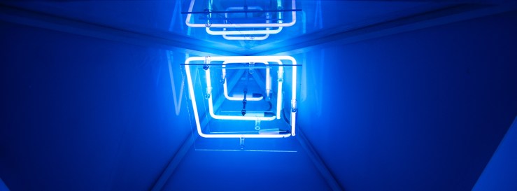 Meow Wolf 10 (1 of 1)