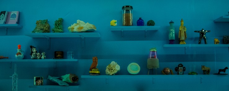 Meow Wolf 18 (1 of 1)