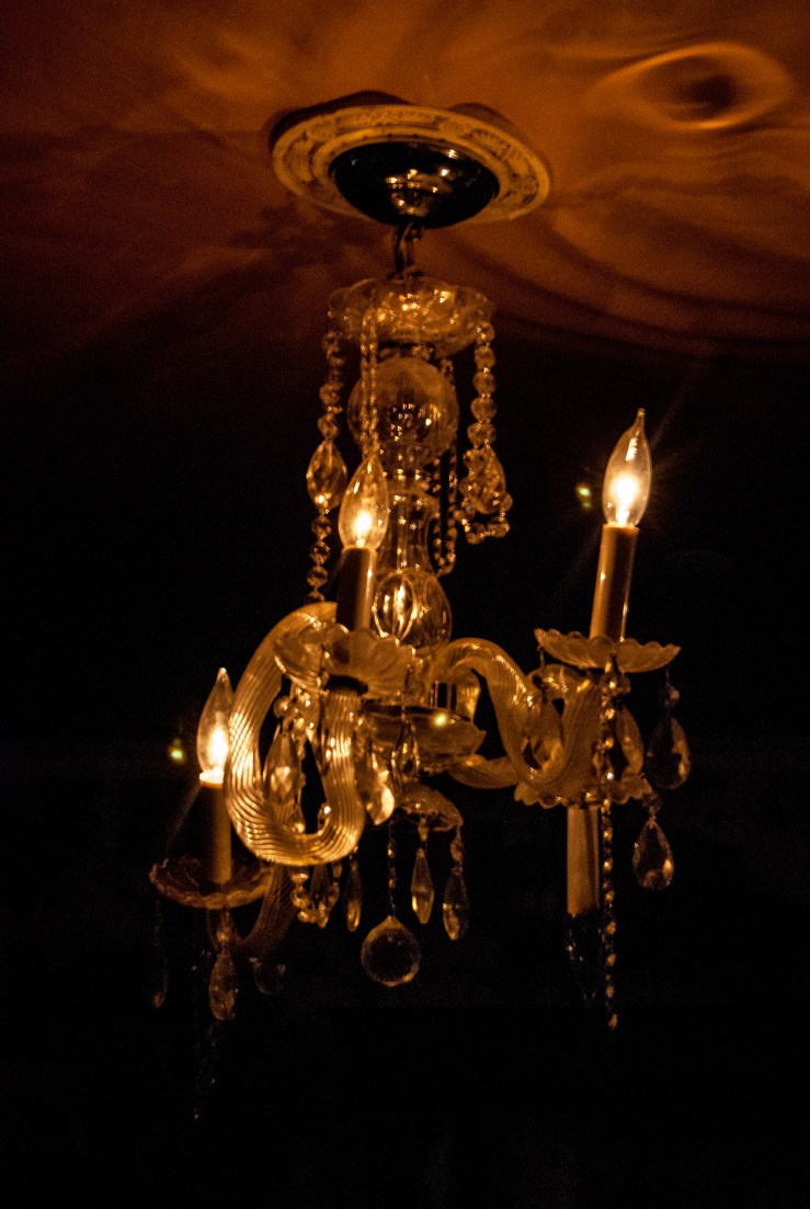 Meow Wolf 3 (1 of 1)