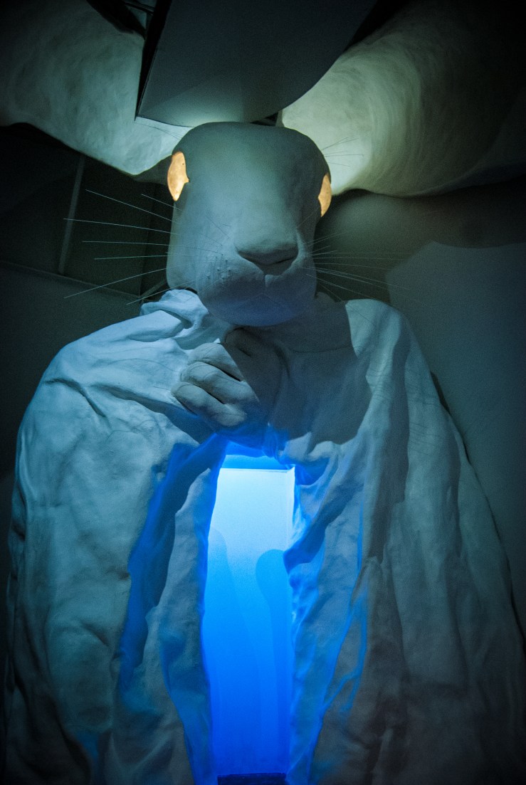 Meow Wolf 9 (1 of 1)