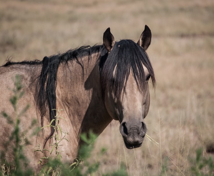Seriously, tho. Those. Bangs.