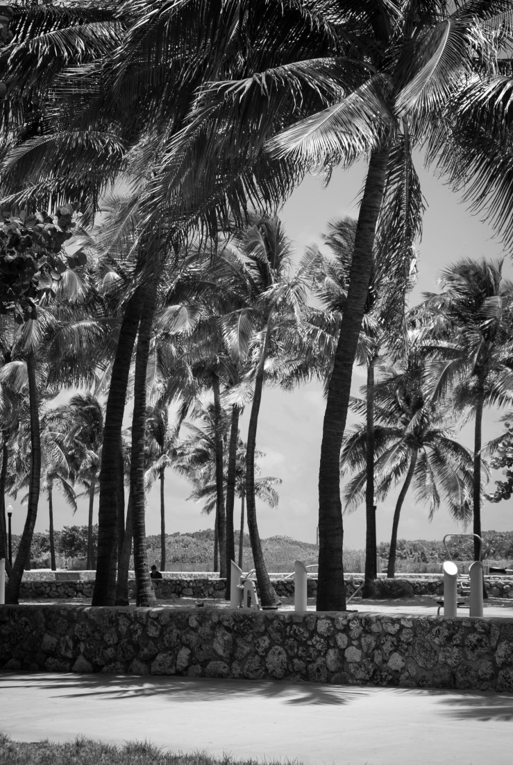 SouthBeach2 (1 of 1)