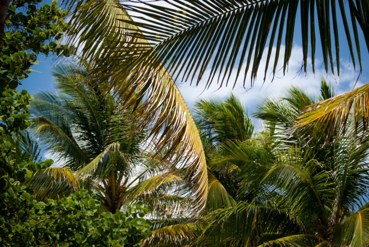 SouthBeach3 (1 of 1)