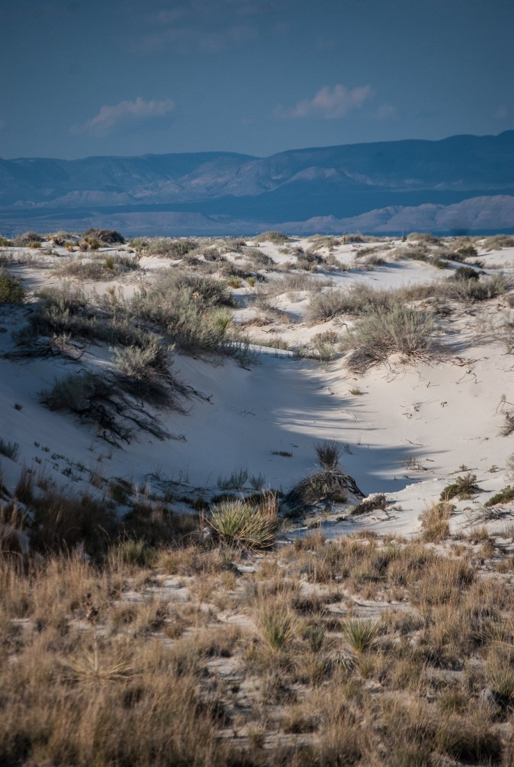 WhiteSands25 (1 of 1)